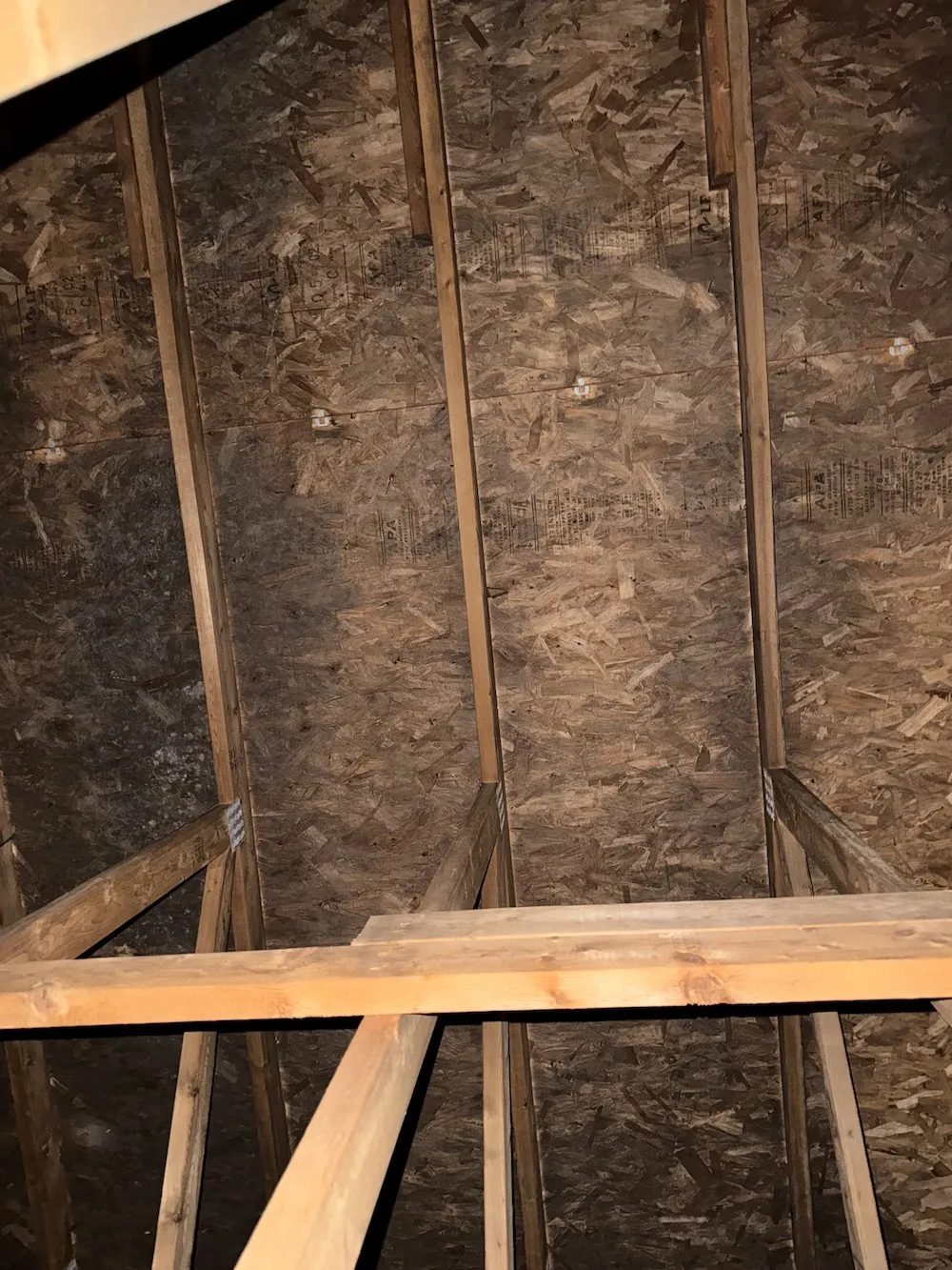 Mold growth on attic sheathing