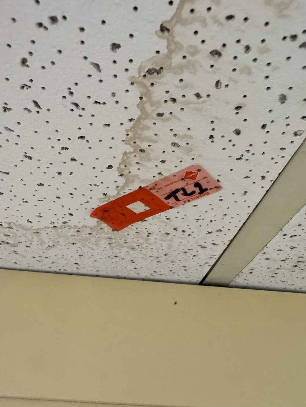 Mold tape lift sample on ceiling tile